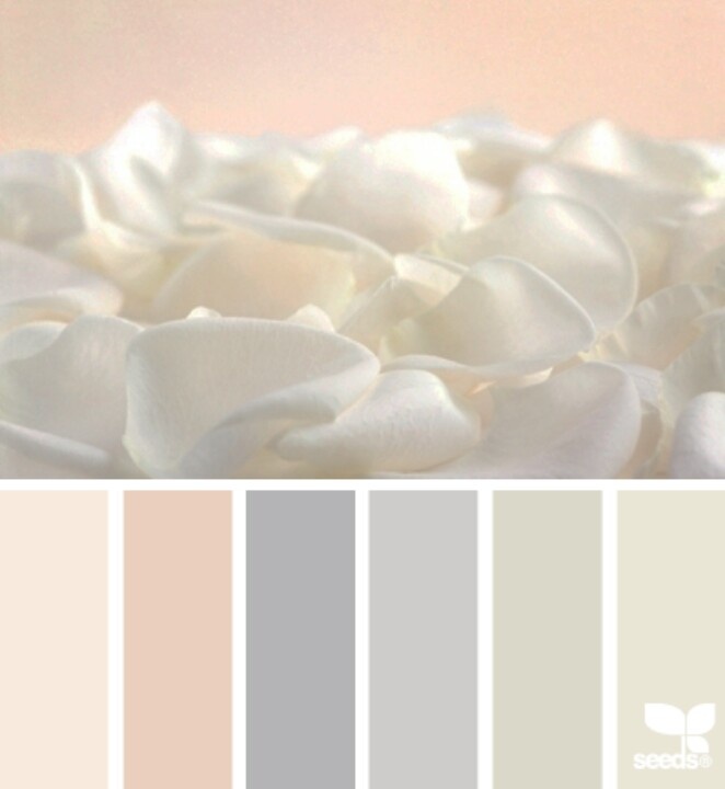 the color scheme is neutral and pale with white petals on it, along with other colors