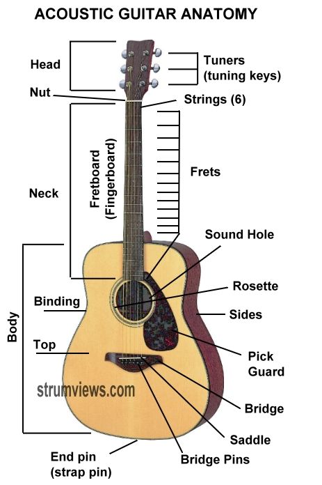 an acoustic guitar labeled in parts