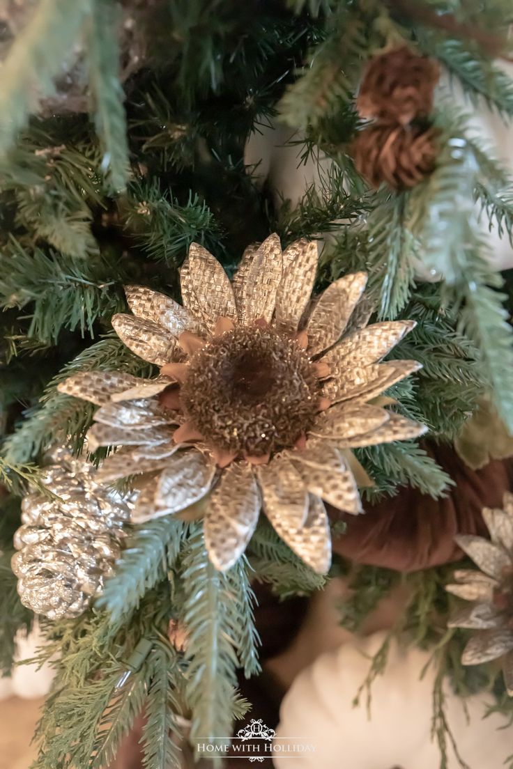 a close up of a christmas tree with pine cones