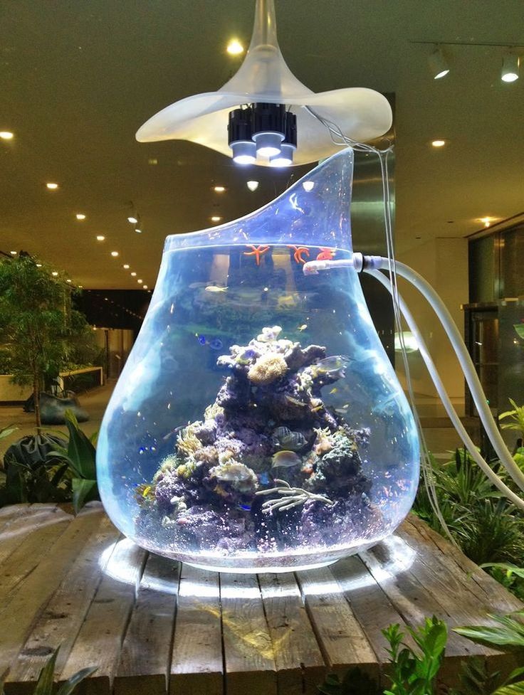 an aquarium is displayed in the middle of a wooden table with plants and other items