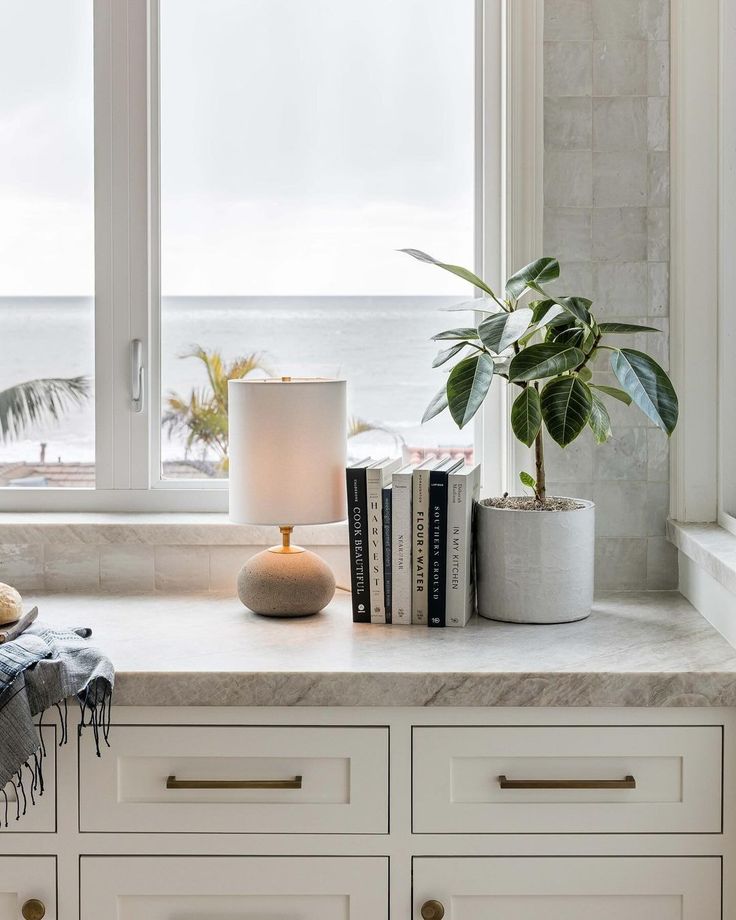 a white kitchen counter topped with books and a vase filled with plants next to a window