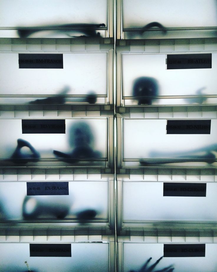 the shadow of a person sitting in front of some bins with labels on them