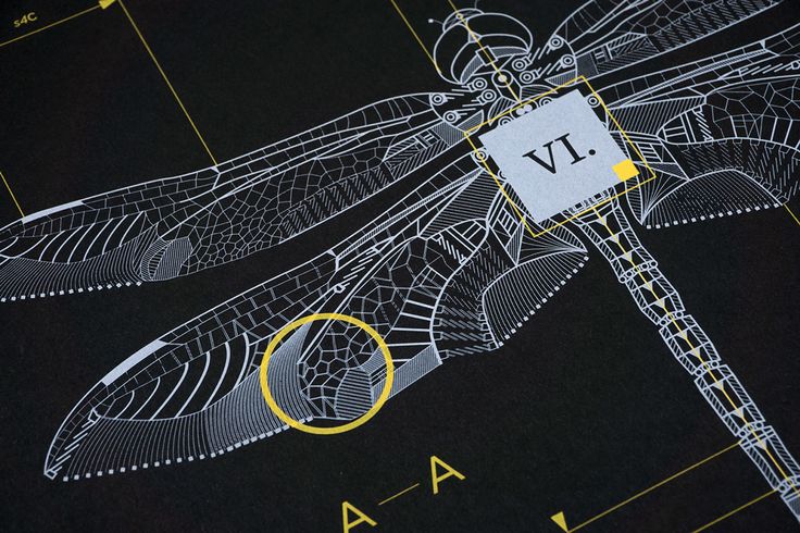 a close up of a dragonfly on a black background with yellow lines around it