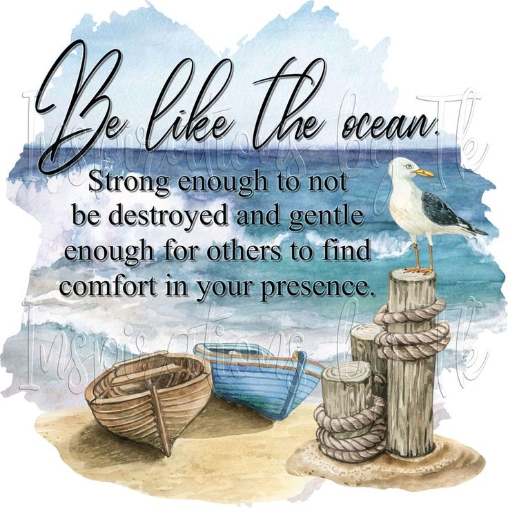 a quote on the beach with two boats and a seagull