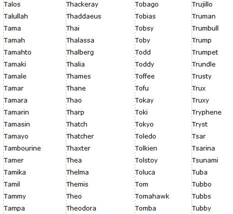 the different types of words that are in each language