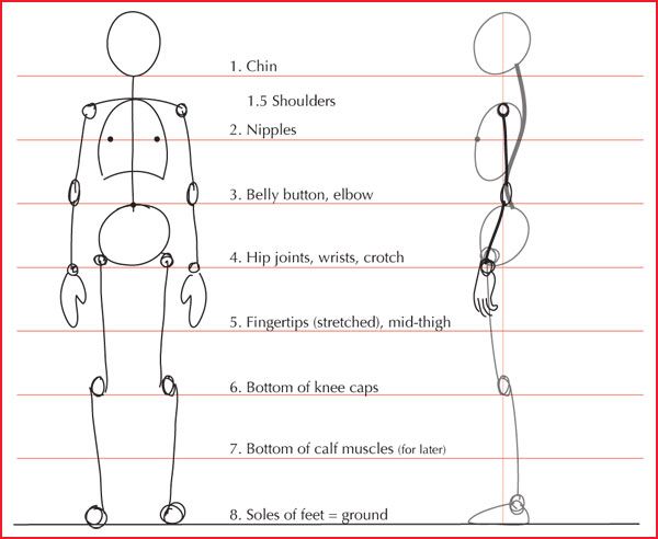 how to draw the human body for children and adults step by step drawing instructions, easy drawings, drawing tips, drawing lessons, drawing techniques, drawing skills, drawing ideas, art projects, learn to draw, kids, person, hand poses, figure, anatomy, life, hands,