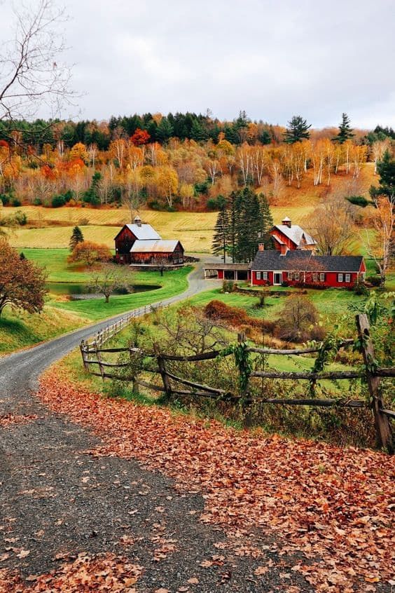 a country road runs between two red barns on the side of a hill in autumn