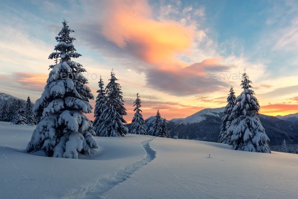 the sun is setting over some snow covered trees and mountains in the distance, with a trail going through it