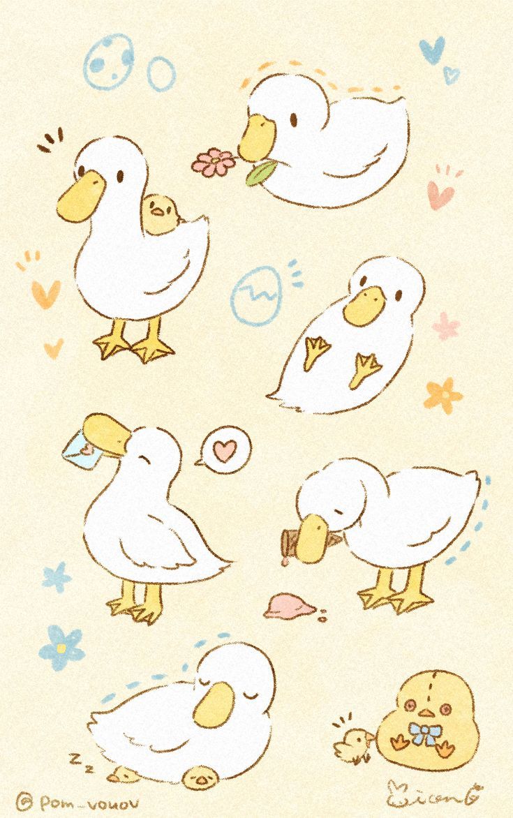 several white birds with yellow beaks and hearts on the side, one is eating something