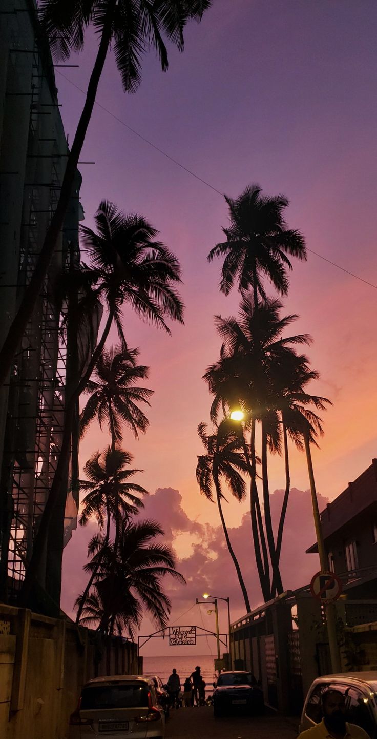 the sun is setting behind some palm trees and people are walking down the street in front of them