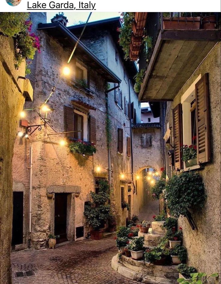 an alley way with potted plants and lights on the side of each building at night