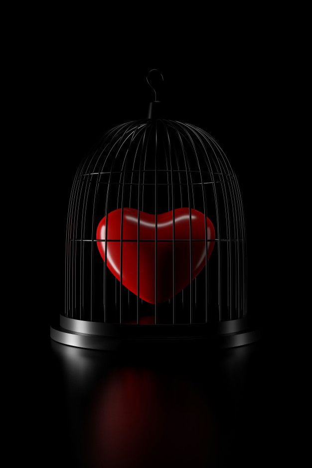 a red heart in a black birdcage on a dark background with light coming through it