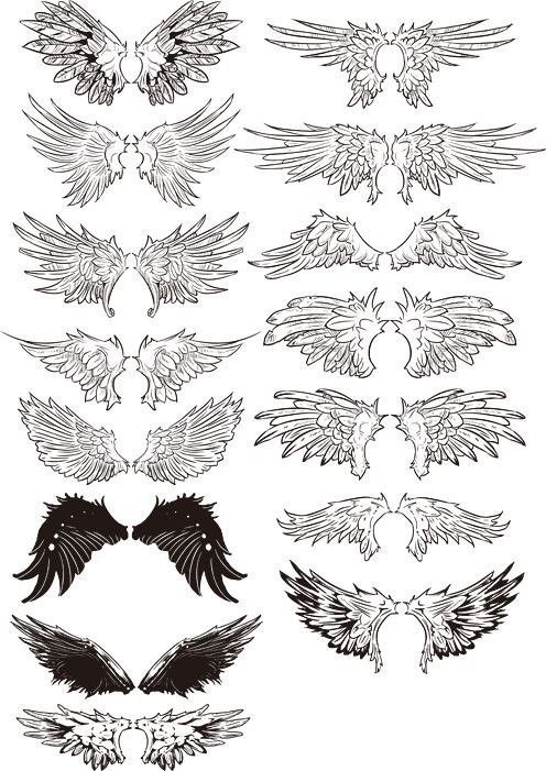 the different types of wings are shown in black and white