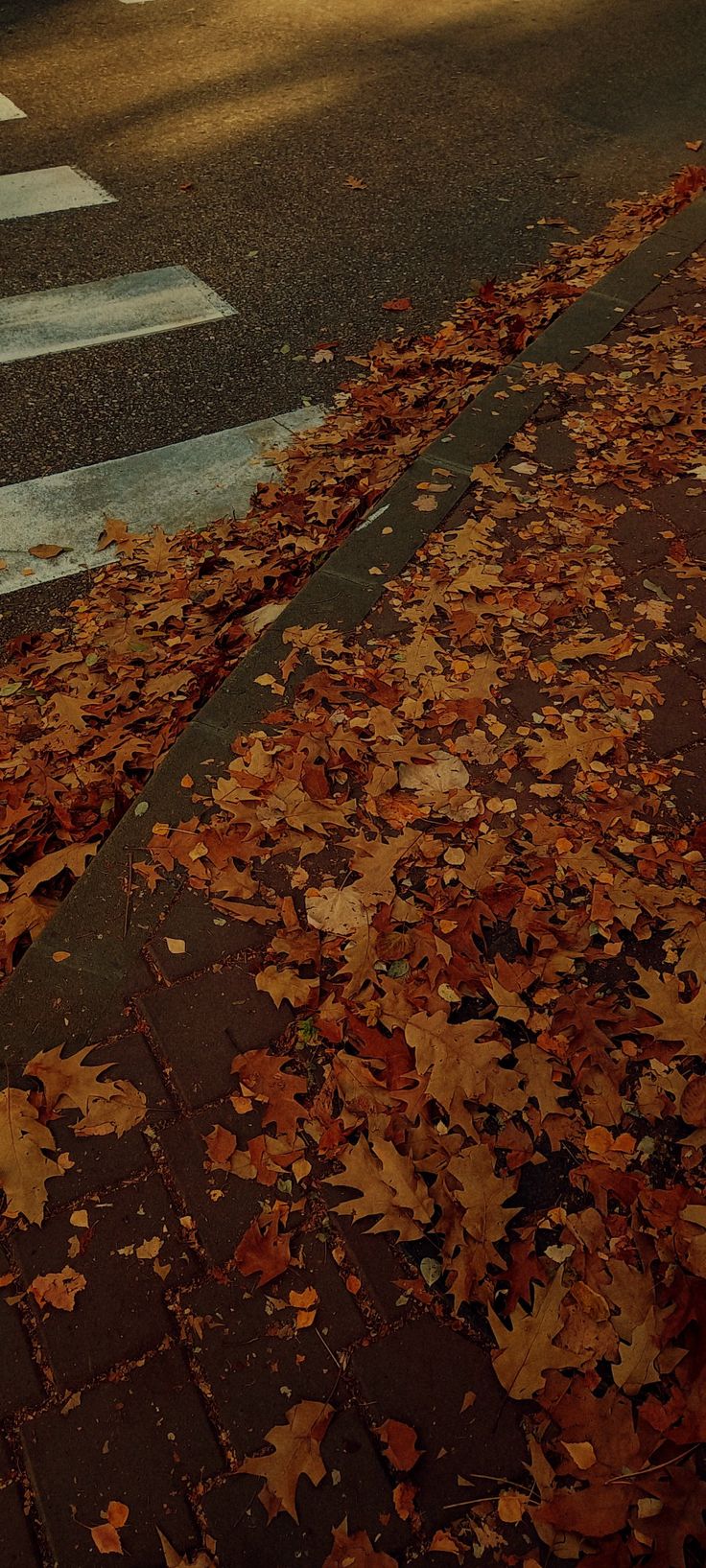 an empty street with leaves on the ground and a fire hydrant in the foreground