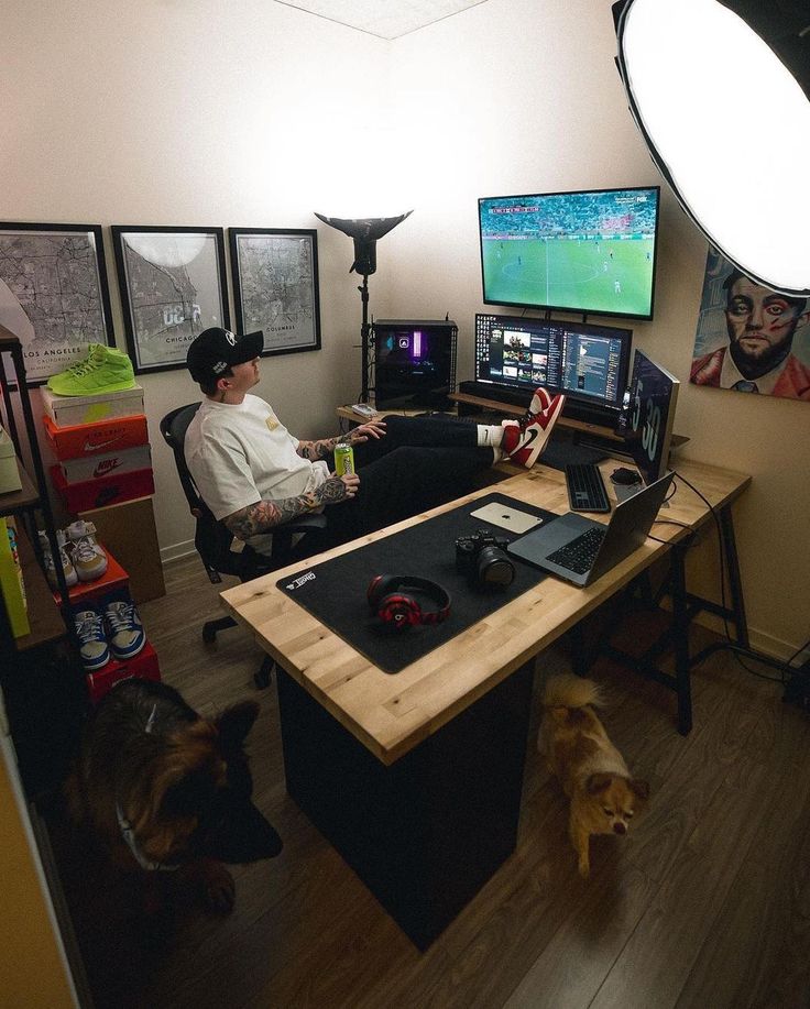 two men sitting at a desk in front of computer monitors and laptops with dogs nearby