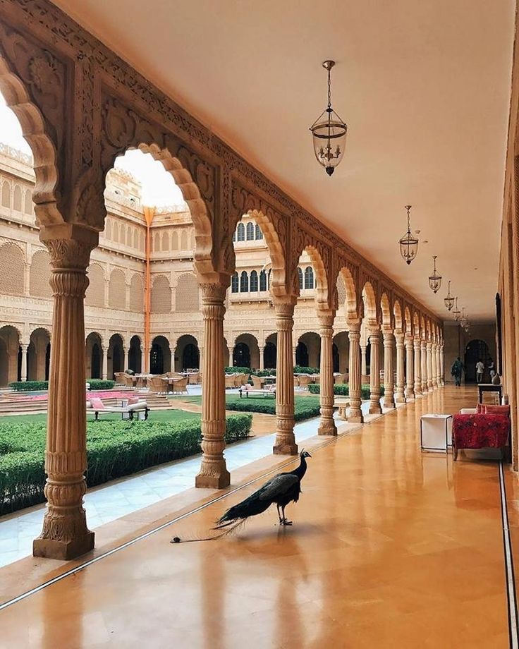 an image of a bird in the middle of a room with columns and arches on it