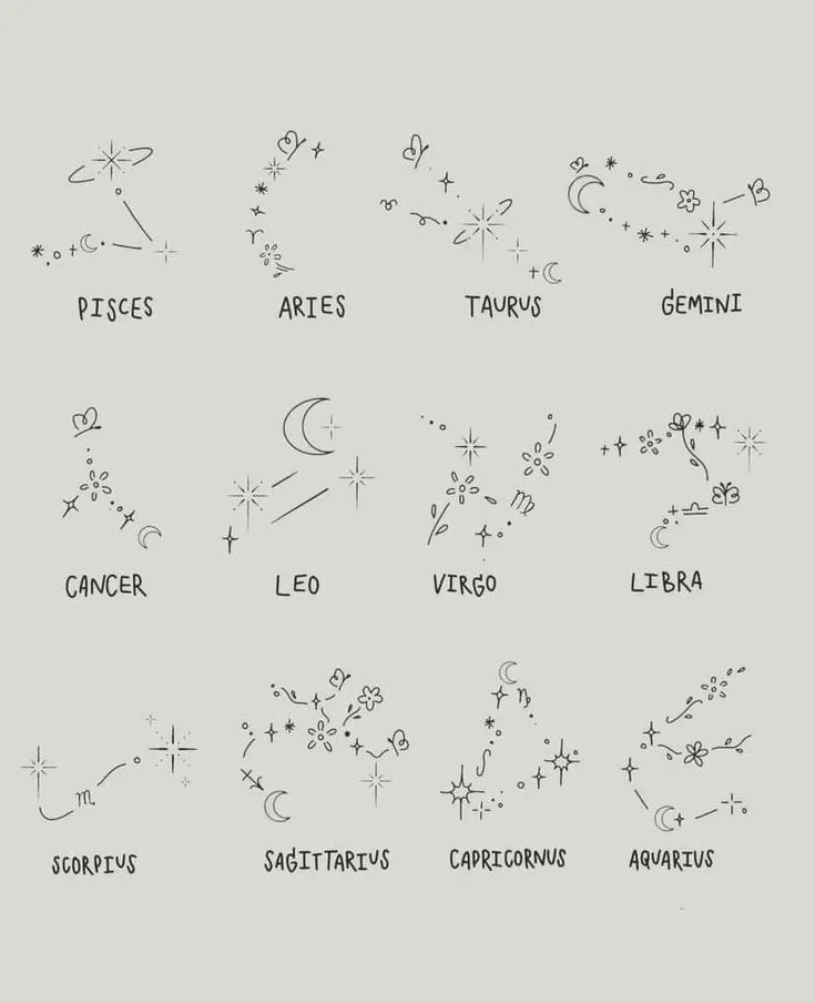 zodiac signs and their names are drawn in black ink on a gray background with white writing