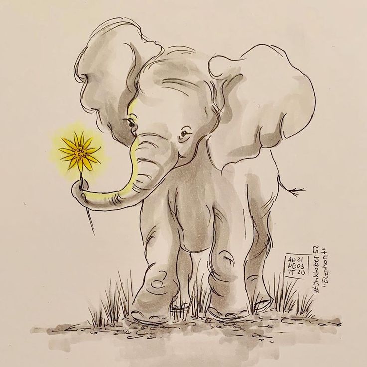 an elephant holding a flower in its trunk