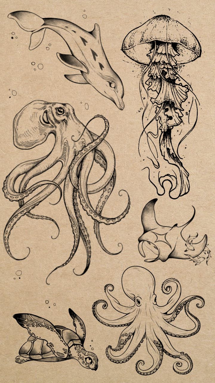 an octopus, squid, and jellyfish tattoo design on a piece of parchment paper