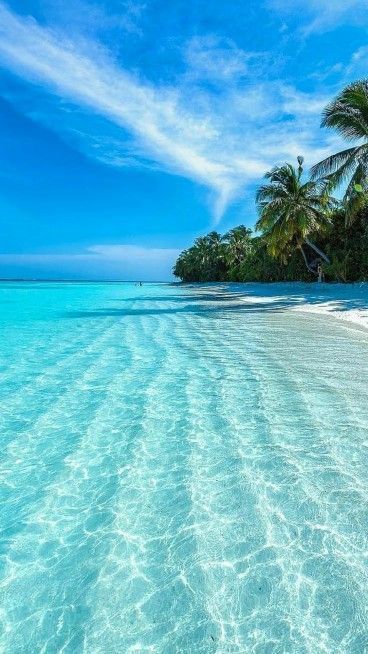 the water is crystal clear and blue with palm trees in the background on an island