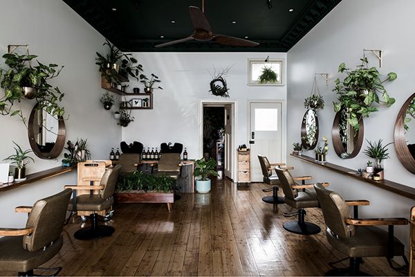 a salon with wooden floors and mirrors on the wall, potted plants hanging from the ceiling