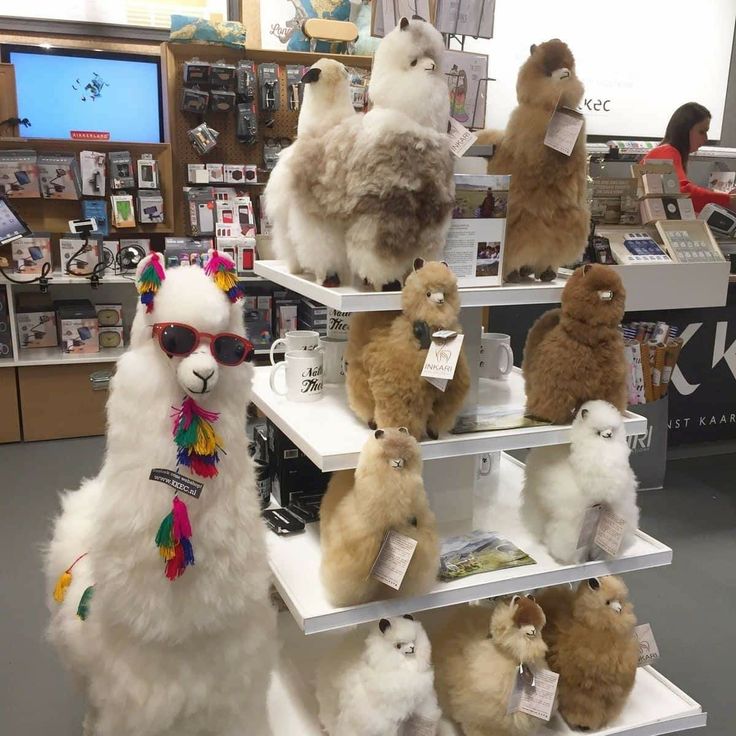 several stuffed animals are on display in a store, including llamas and alpacas