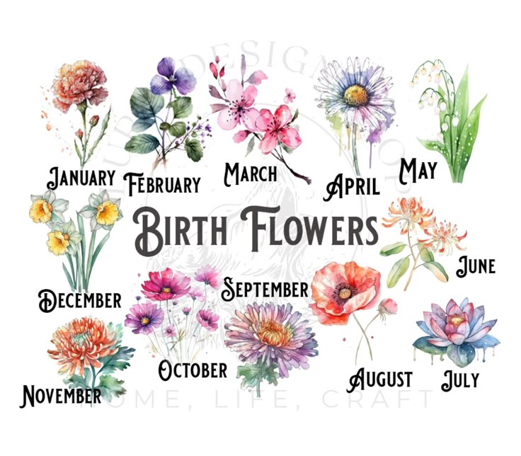 watercolor flowers are shown with the names of each flower and their birth dates on them