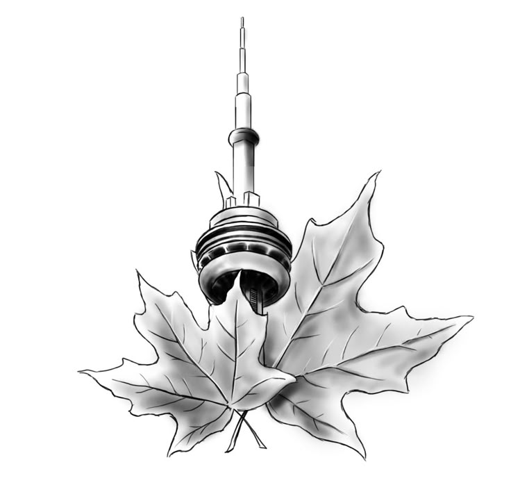 a black and white photo of a maple leaf with the cn tower in the background