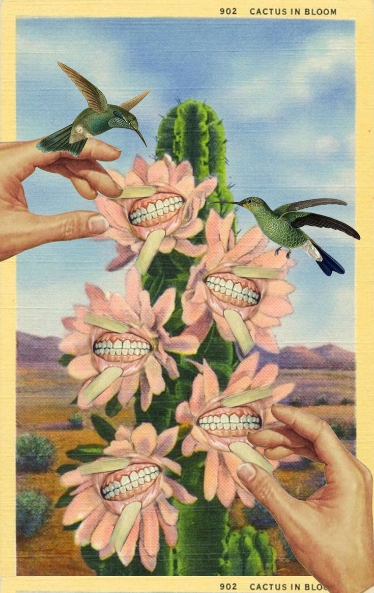 a postcard with flowers and two hands reaching for the flower in front of them