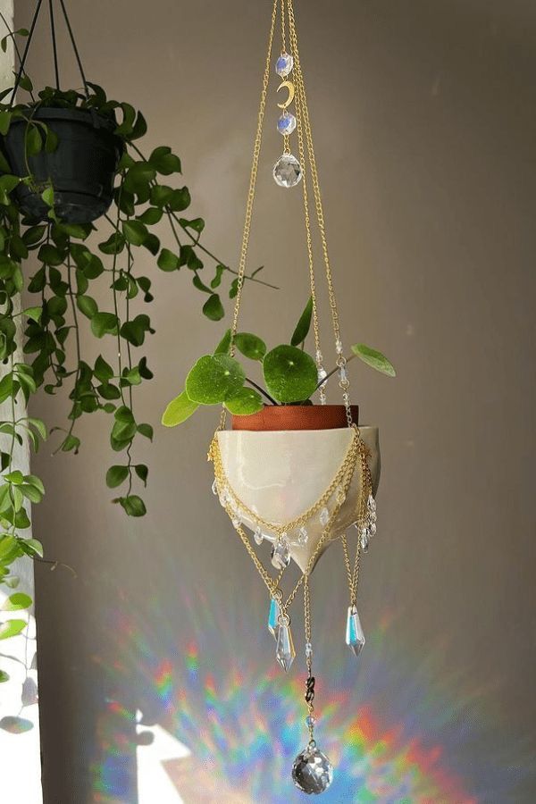 a potted plant hanging from a chain in front of a rainbow colored wall and ceiling