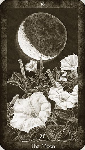 the moon and flowers are shown in this black and white photo, with an old - fashioned