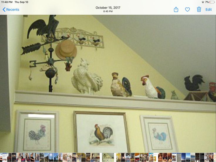 a bunch of pictures are hanging on the wall above a shelf with chickens and roosters