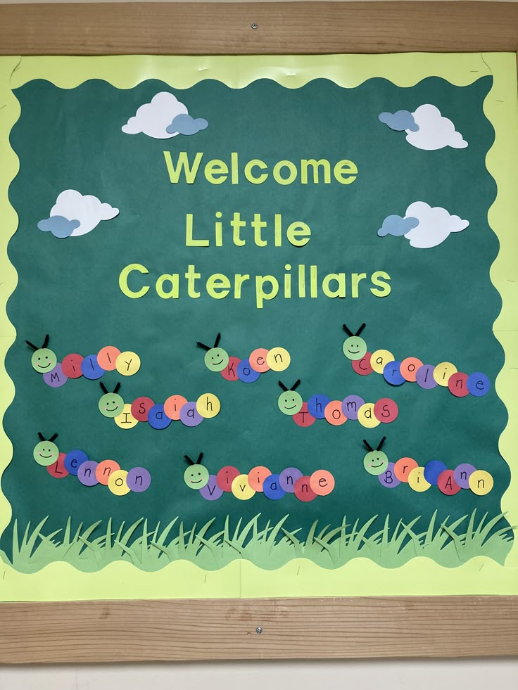 a bulletin board with caterpillars on it and the words welcome little caterpillars