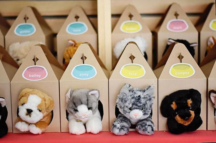 there are many small stuffed animals in the box on the shelf with each one's own name