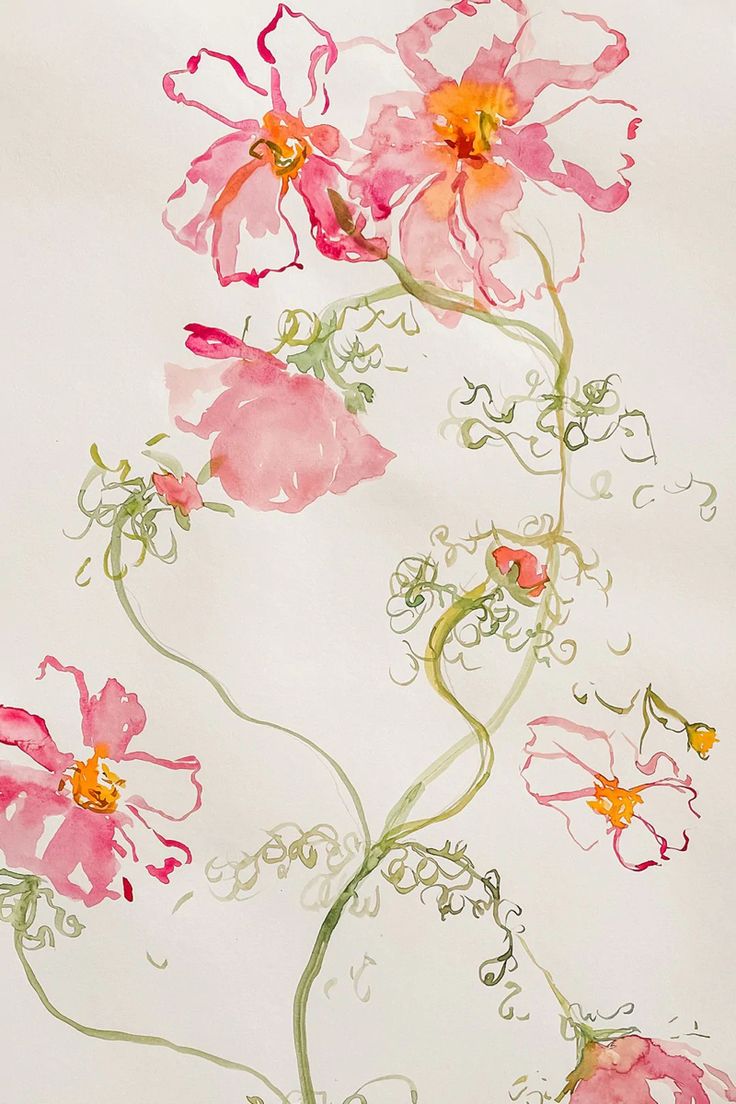 pink flowers with green stems on a white background