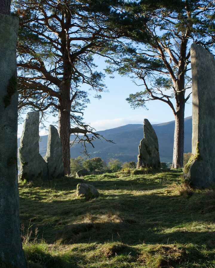 some rocks and trees in the middle of a grassy area with mountains in the background