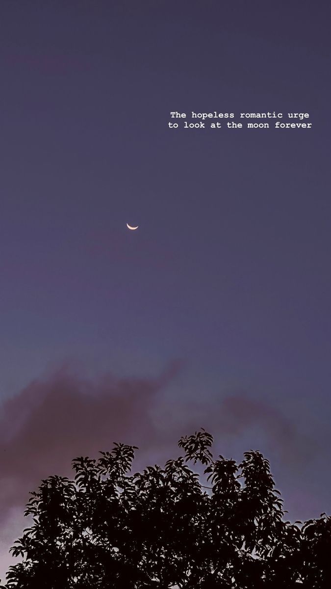 the moon is in the sky with some clouds above it and an image of a tree