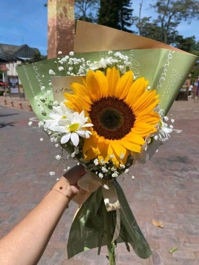 a person holding a bouquet of sunflowers and baby's breath