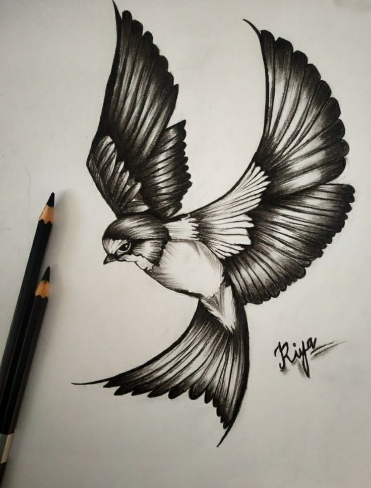 a drawing of a bird flying in the air