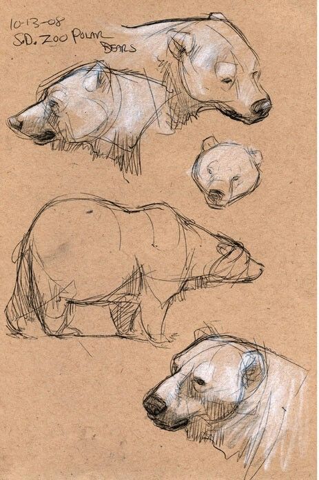 three drawings of polar bears on brown paper