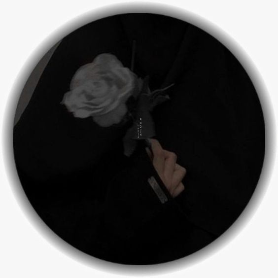 a person holding a knife in their hand with a white rose on the tip of it