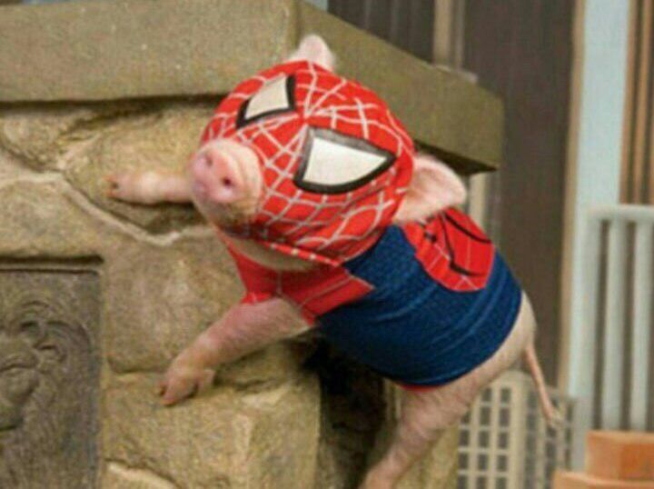 a small pig in a spider suit climbing up a stone wall with it's head sticking out