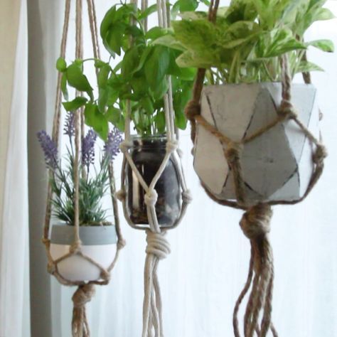 three hanging planters with plants in them