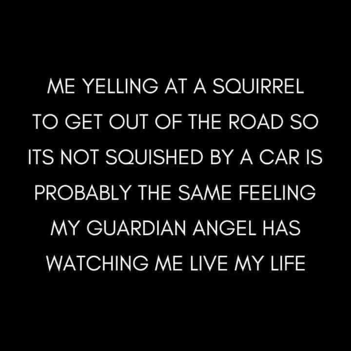 a black and white photo with the words, me yelling at a squirrel to get out of the road so it's not squashed by a car is probably the same feeling my guardian angel has watching me