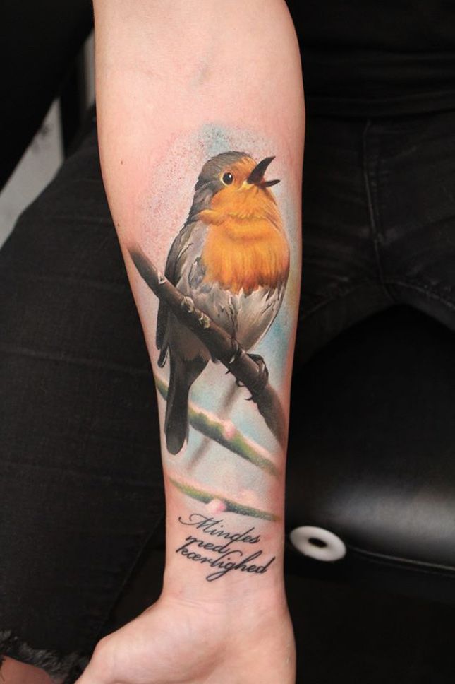 a bird with an orange beak on top of a person's arm and the words tattoo ideas 477 com