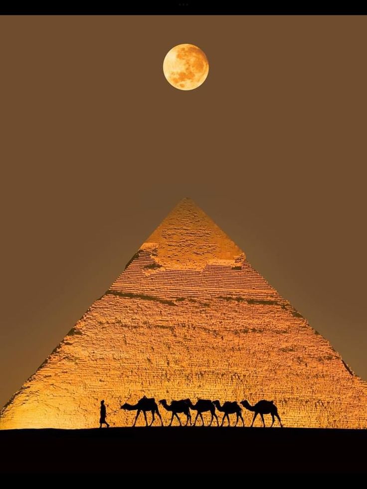 three camels are walking in front of the great pyramid at night, with a full moon behind them