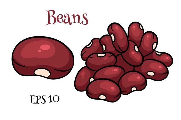 the beans are shown in this cartoon style, and have been drawn on paper to look like