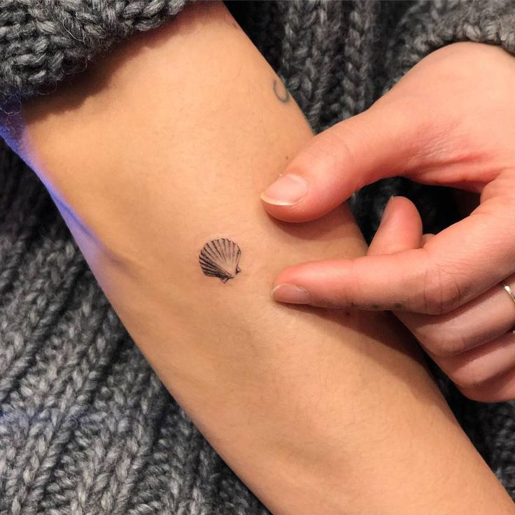 Shell Tattoo, Think Tattoo, Seashell Tattoos, Shell Tattoos, Tattoos For Girls, Meaningful Tattoos For Women, Small Girl Tattoos, Diy Tattoo, Temporary Tattoo Designs