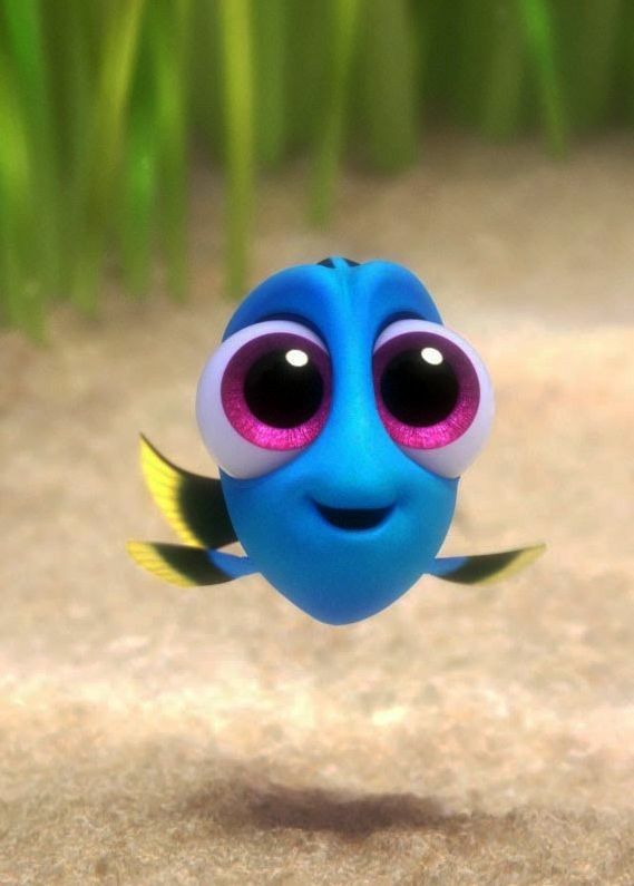 a blue fish with big eyes on it's face and the caption says, i'm sorry i just keep swimming and swimming