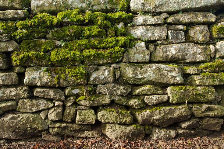 a stone wall with moss growing on it